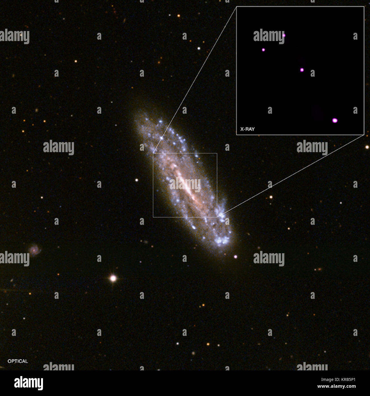 Uno del più basso valore di massa buchi neri Supermassive mai osservato nel mezzo di una galassia è stato identificato grazie alla NASA, l'osservatorio a raggi X Chandra e diversi altri osservatori. Il buco nero si trova al centro della galassia a spirale NGC 4178, mostrati in questa immagine dalla Sloan Digital Sky Survey. Il riquadro mostra una sorgente di raggi X in corrispondenza della posizione del buco nero, nel centro di una immagine di Chandra. Un'analisi dei dati di Chandra, insieme con i dati a infrarossi dalla NASA il telescopio spaziale Spitzer e dati radio dalla NSF molto grande schiera suggerisce che il buco nero ha una massa inferiore th Foto Stock