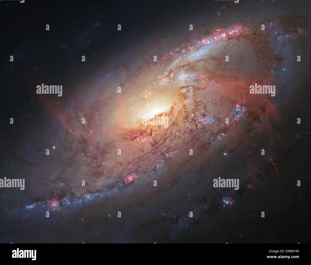 Questa immagine combina le osservazioni di Hubble di M 106 con ulteriori informazioni acquisite dagli astronomi dilettanti Robert Gendler e Jay GaBany. Gendler combinati dati di Hubble con proprie osservazioni per produrre questa splendida immagine di colore. M 106 è relativamente vicino a galassia a spirale, un po' più di venti milioni di anni luce di distanza. Messier 106 visibile e composito a infrarossi Foto Stock