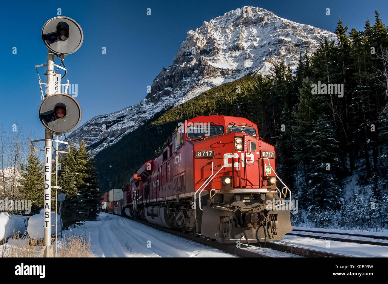 CP rotaia di trasporto merci intermodale westbound guidato da loco 9177 passa il campo Segnale Est Parco Nazionale di Yoho in inverno Foto Stock