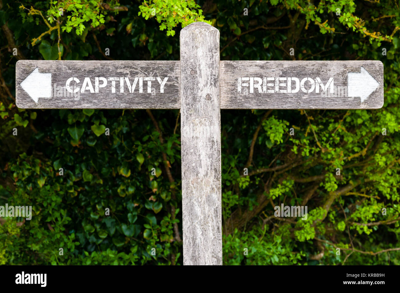 Cattività versus libertà segnaletica direzionale Foto Stock