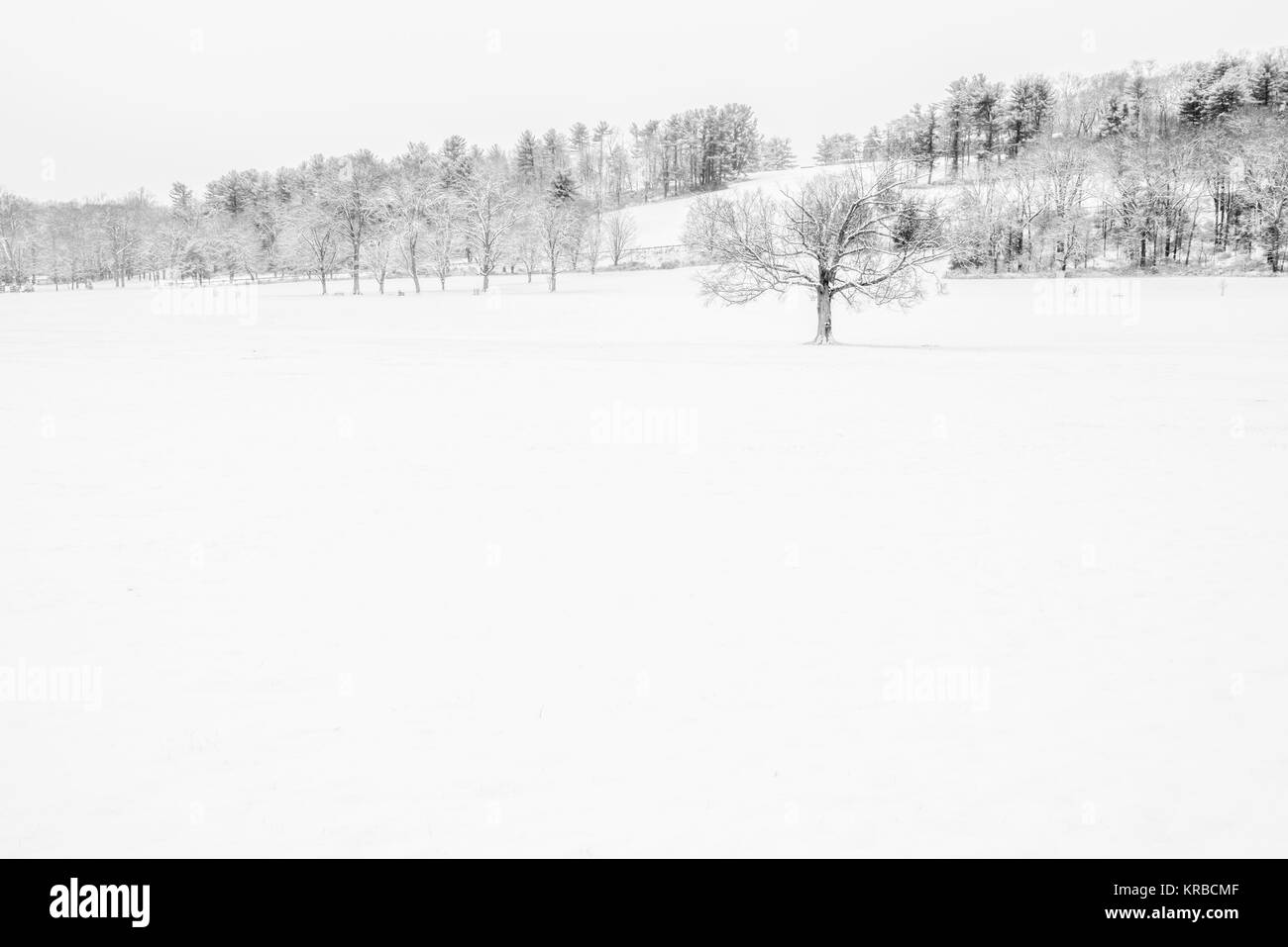 Minimalista in bianco e nero in inverno il paesaggio di campo nelle zone rurali del New Jersey Foto Stock