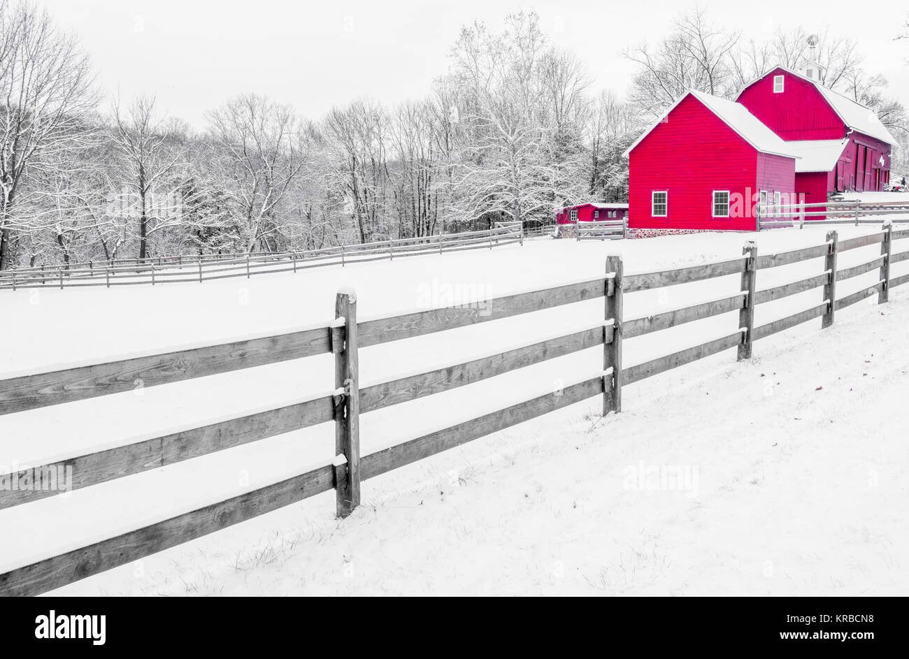 Bella in bianco e nero e rosso scenario di fattoria. Inverno rurale di fondo Foto Stock