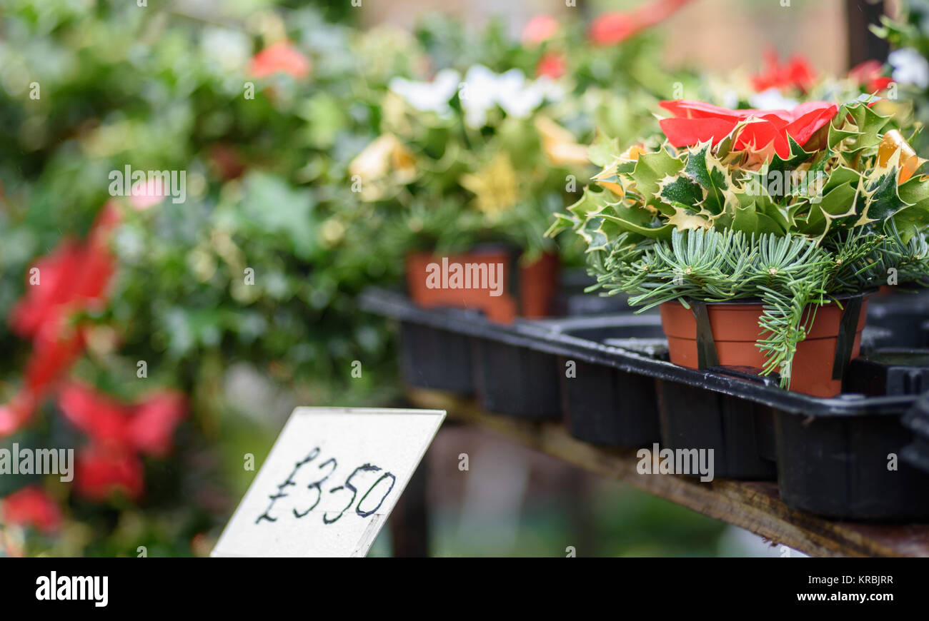 Tradizionale a mano il natale ghirlande e vasi di holly per la vendita in un mercato all'aperto. Foto Stock