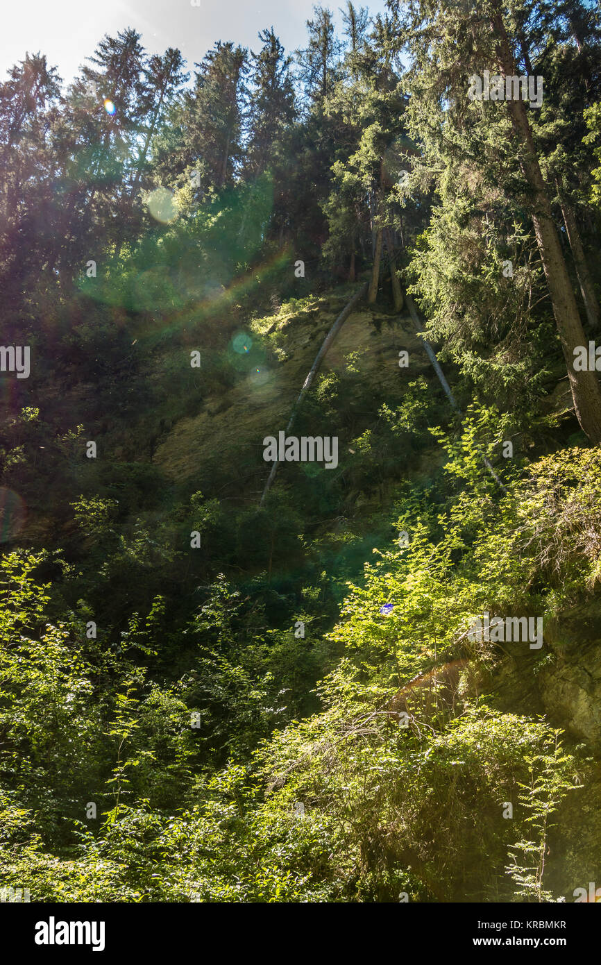 Le montagne verdi campi, prati e boschi Foto Stock