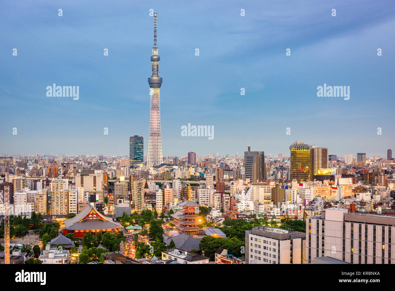 Tokyo, Giappone skyline al tramonto. Foto Stock