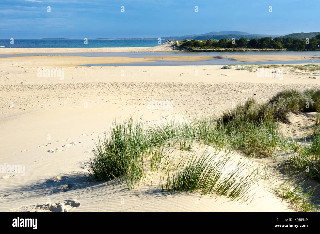 Le dune di sabbia e spiaggia, Wairo Beach, Lake Tabourie, Nuovo Galles del Sud, Australia Foto Stock