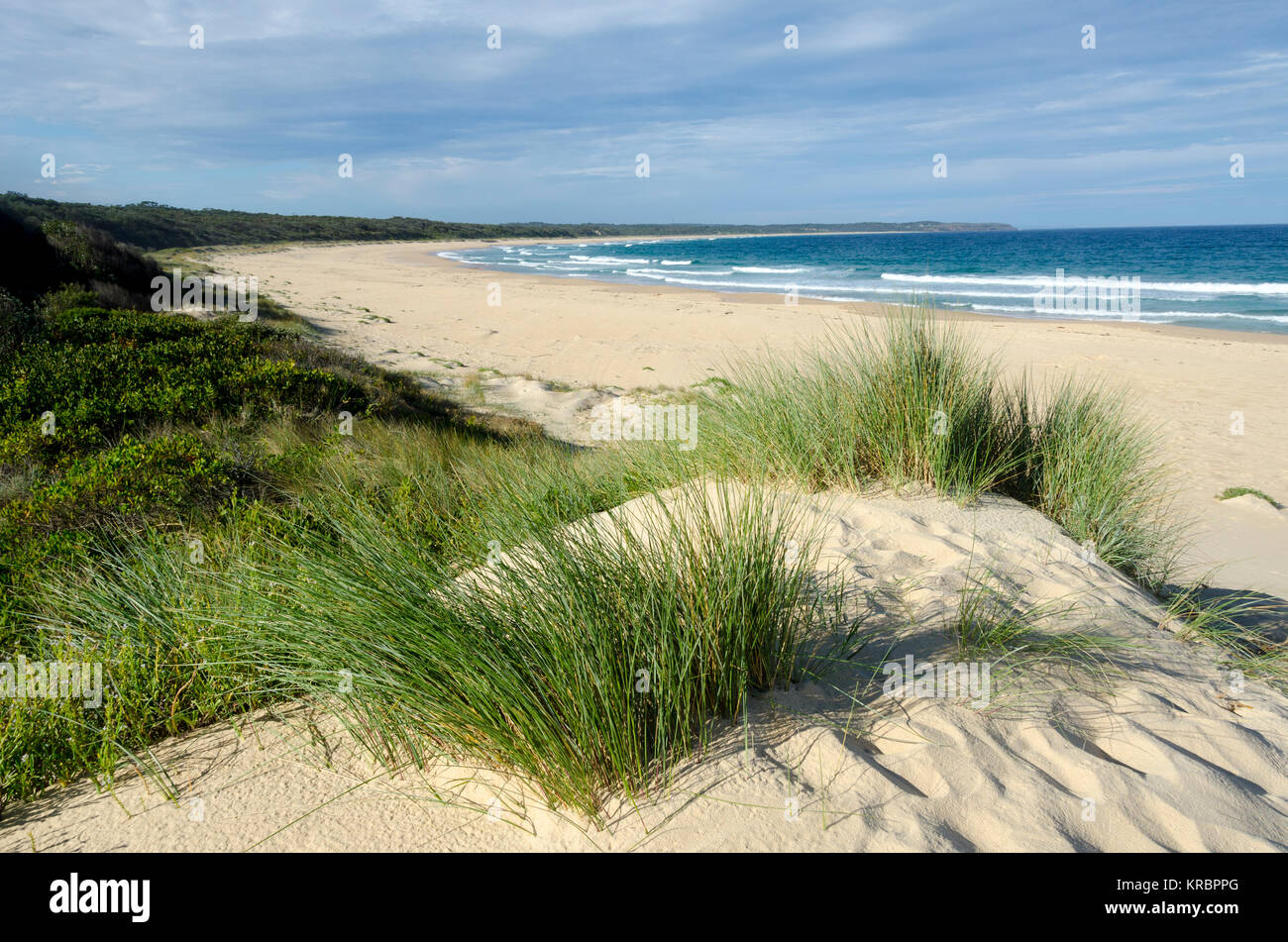 Le dune di sabbia e spiaggia, Wairo Beach, Lake Tabourie, Nuovo Galles del Sud, Australia Foto Stock