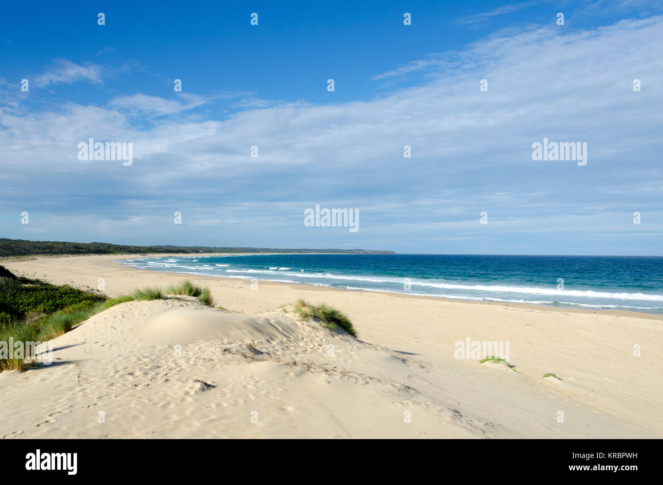 Le dune di sabbia e spiaggia, Wairo Beach, Lake Tabourie, Nuovo Galles del Sud, Australia Foto Stock