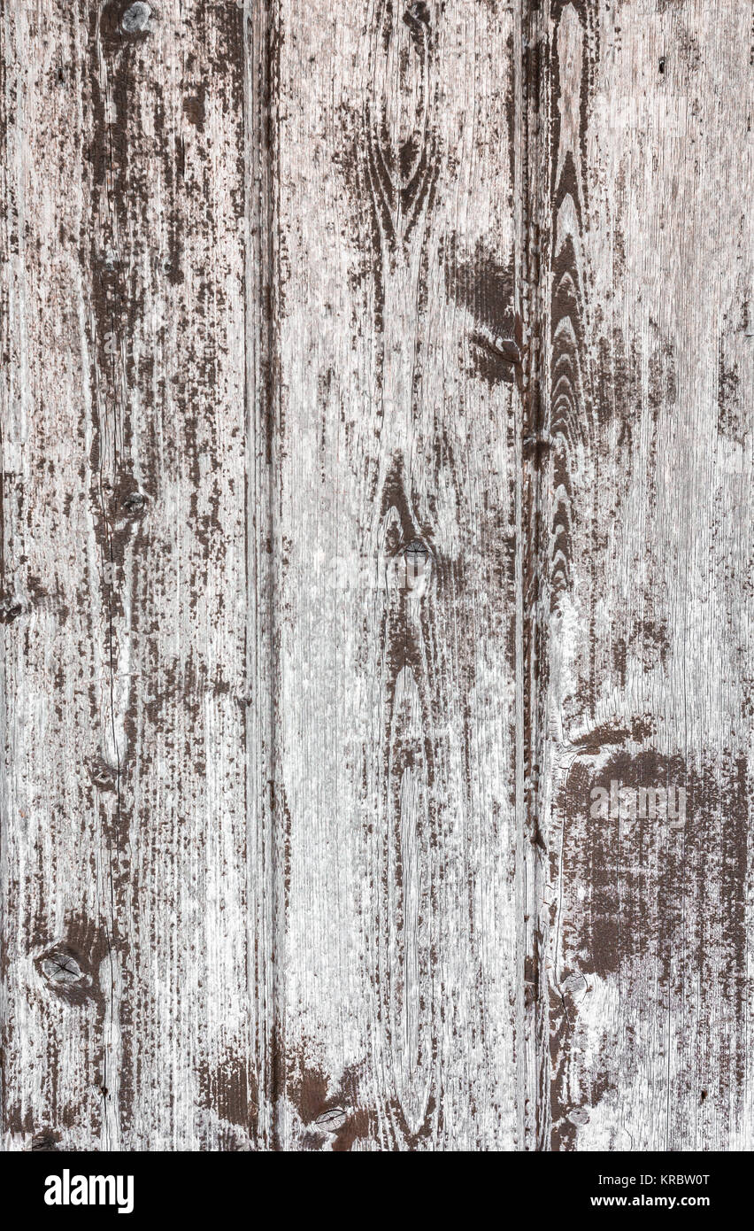 Bianco texture di legno Foto Stock