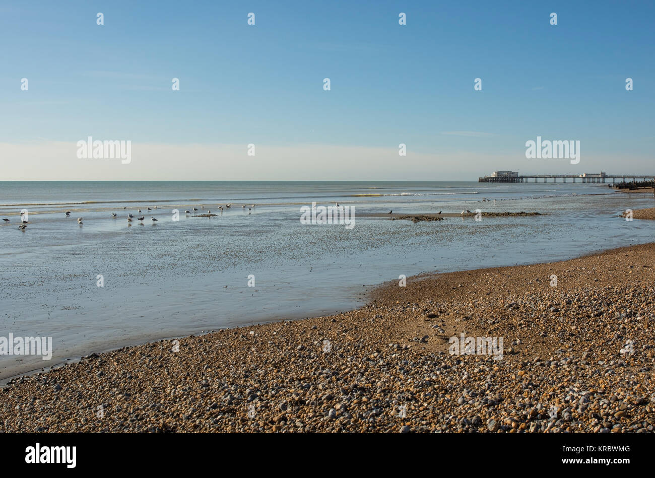 Spiaggia di ciottoli e il molo sul lungomare a Worthing West Sussex, in Inghilterra. Con i gabbiani a bassa marea Foto Stock