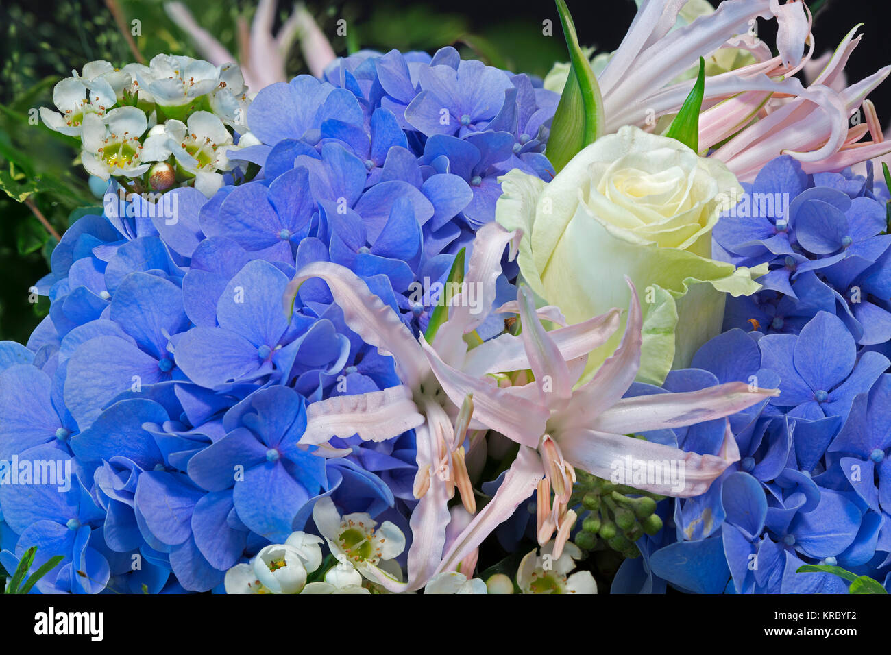 Bouquet colorato con ortensie blu Foto Stock