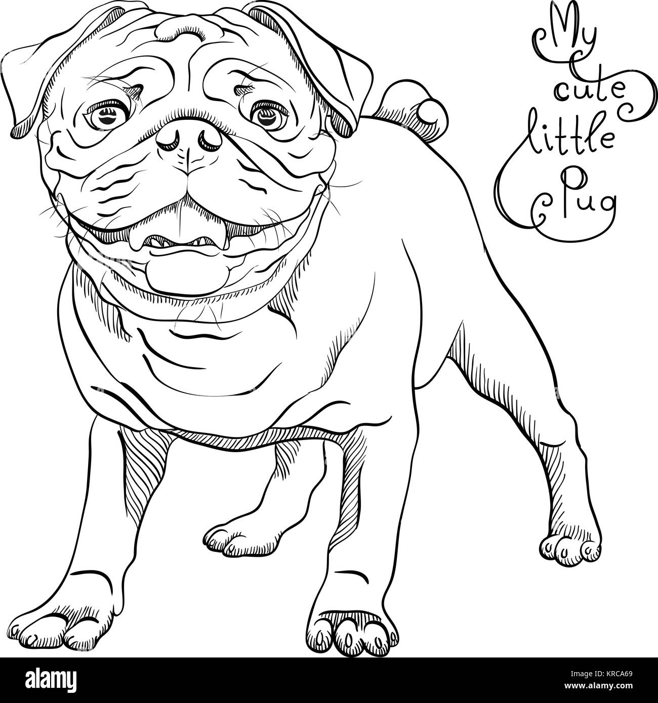 Disegno vettoriale cute cane nero razza pug Foto Stock