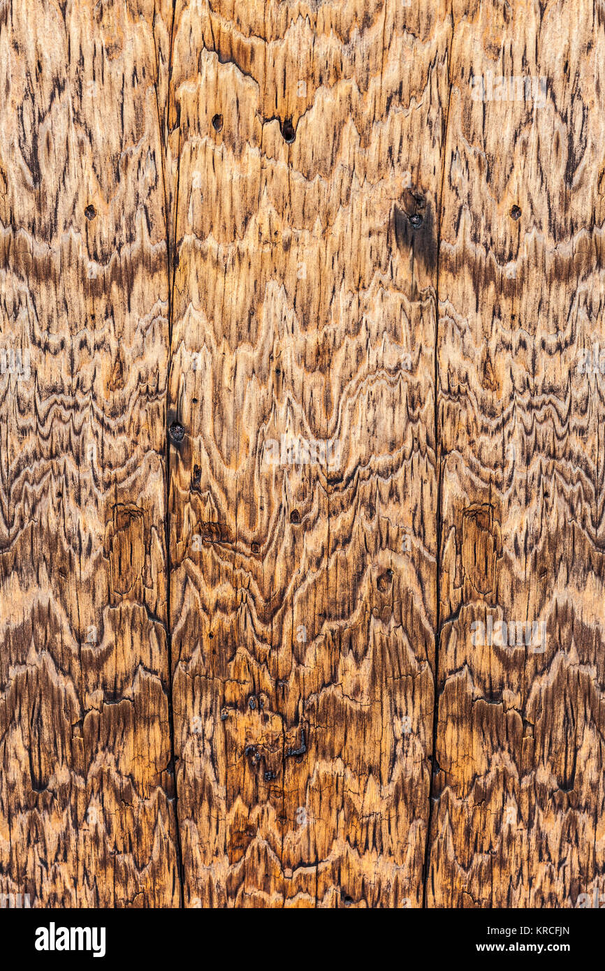 Close-up di molto vecchio di tavole di legno Foto Stock