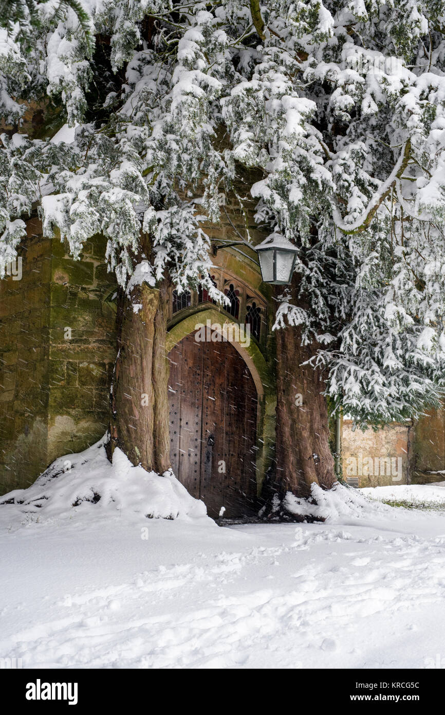 St Edwards chiesa porta nord yew alberi a tempo di natale nella neve. Stow on the Wold, Cotswolds, Gloucestershire, Inghilterra Foto Stock