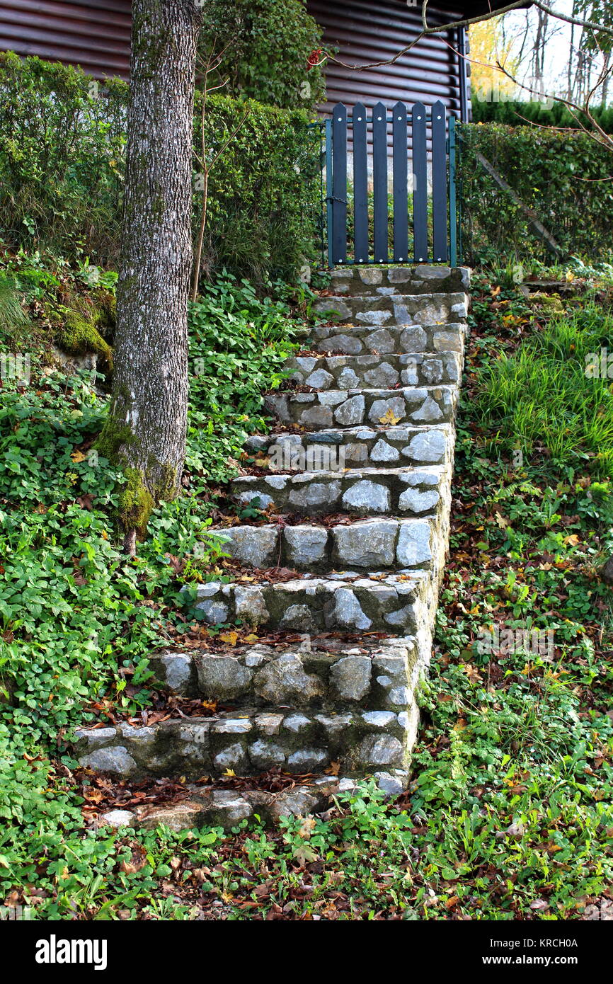 Gradini in pietra coperte di muschio e marrone e foglie di autunno che conducono verso il legno cantiere Picket Fence porte circondato con siepe e alta erba non tagliata Foto Stock