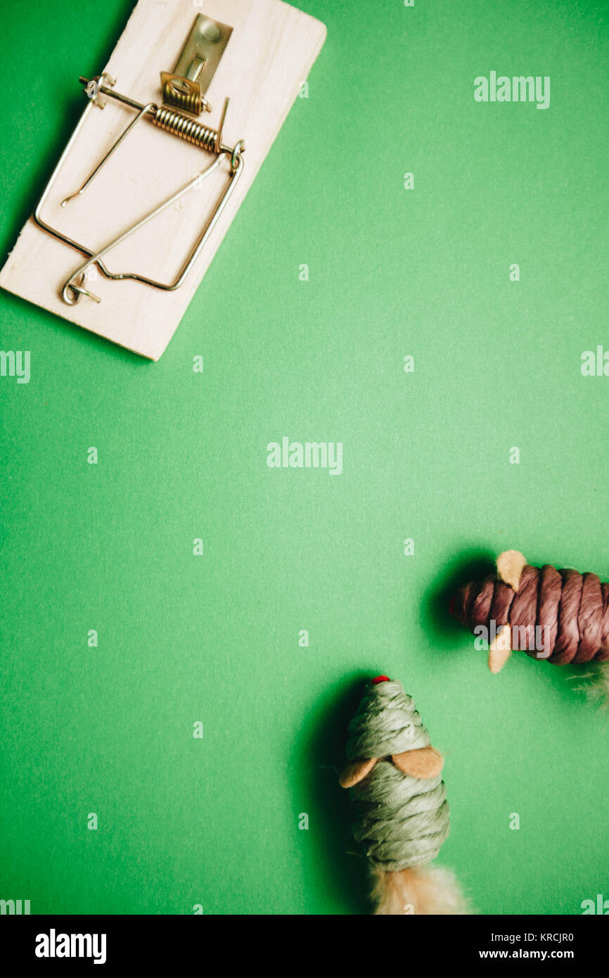 Il verde di un colore di sfondo con due simpatici topi giocattolo per gatti e un mouse trappola, vicino, vista dall'alto. Pet care e concetto di veterinario. Spase per il testo Foto Stock