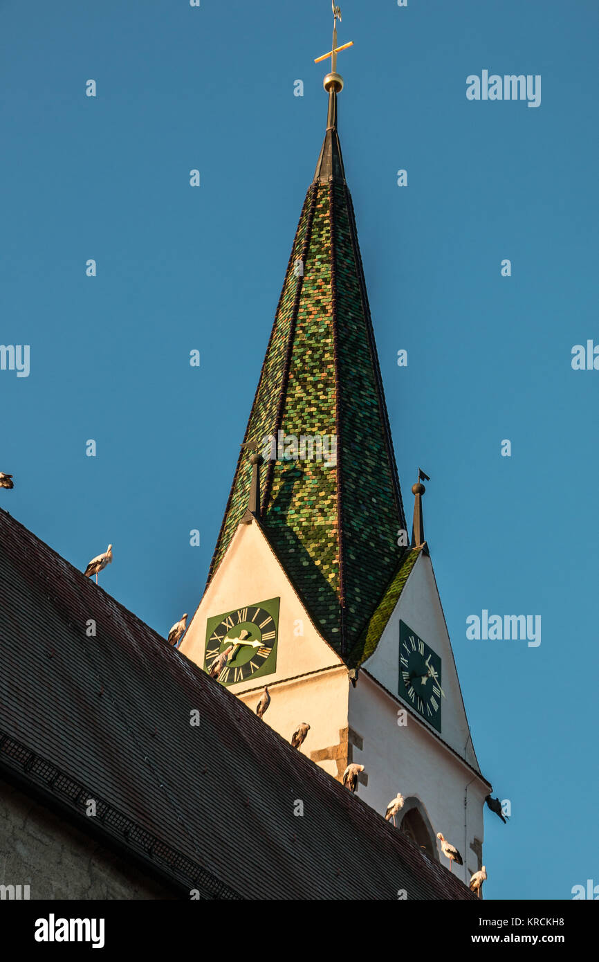 Cicogne sul tetto della chiesa Foto Stock