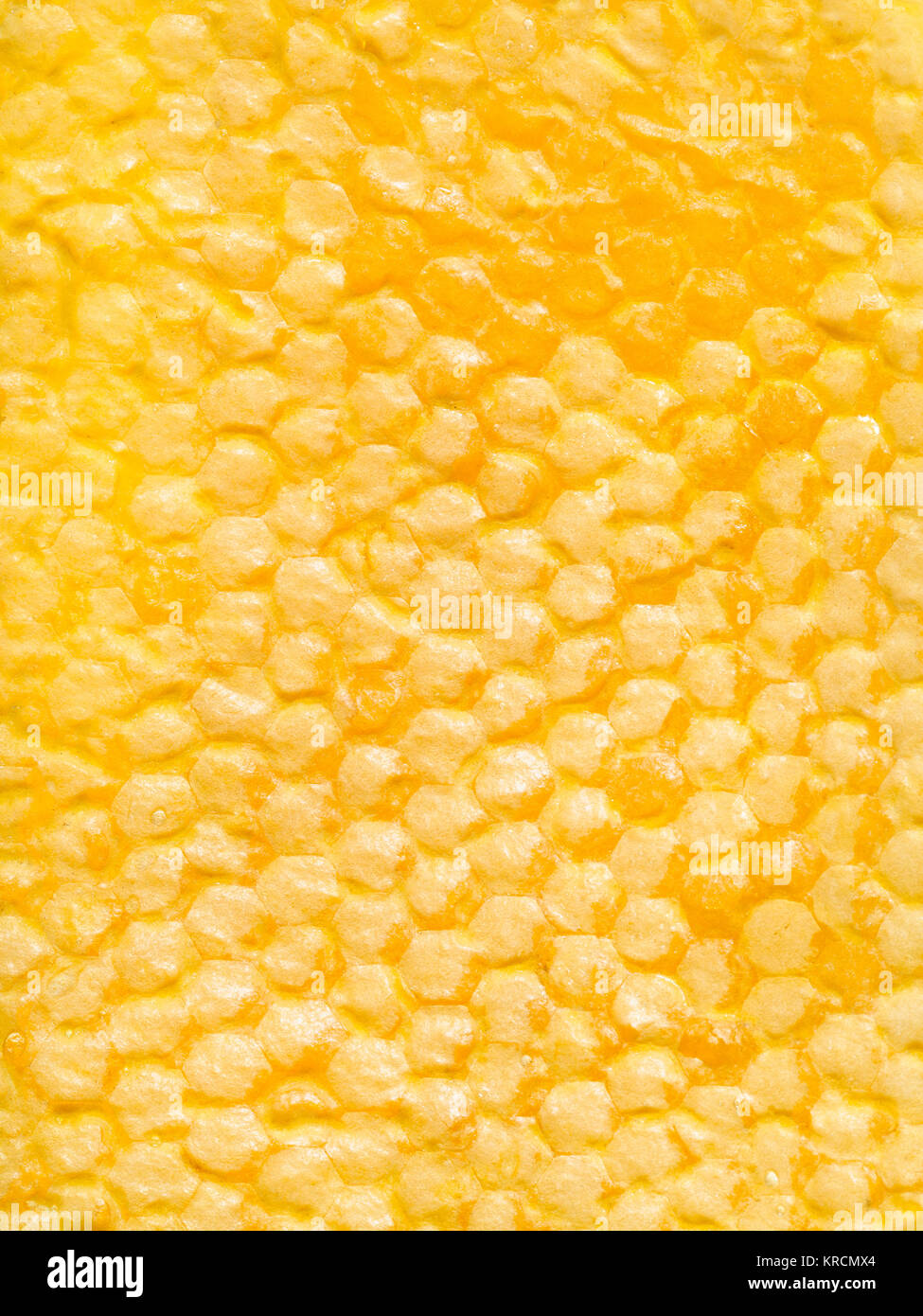 Giallo a secco con favo di miele Foto Stock