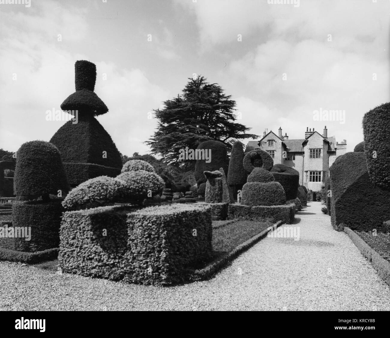 Gli squisiti giardini topiari di Levens Hall, vicino a Kendall, Cumbria, Inghilterra. Foto Stock