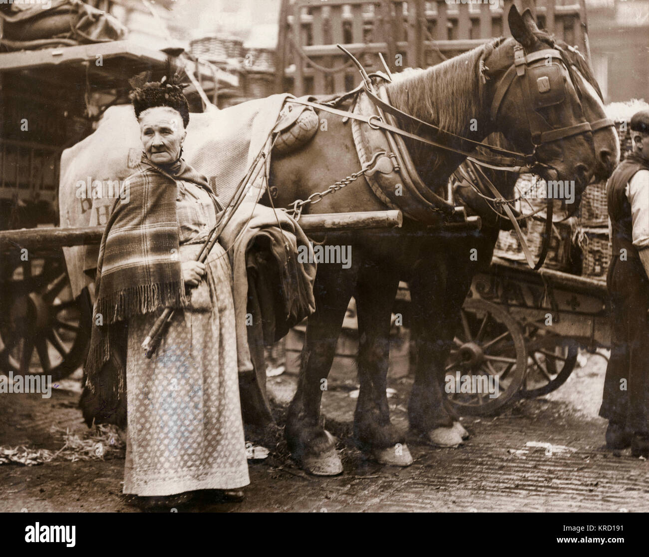 Onorevole Sullivan, o "Zia del Giardino', un personaggio famoso nel mercato di Covent Garden che ha guadagnato la sua vita da guardare dopo i carradori' fruste, e di eventuali altri elementi suscettibili di essere rubati in assenza dei loro proprietari. Data: circa 1910 Foto Stock
