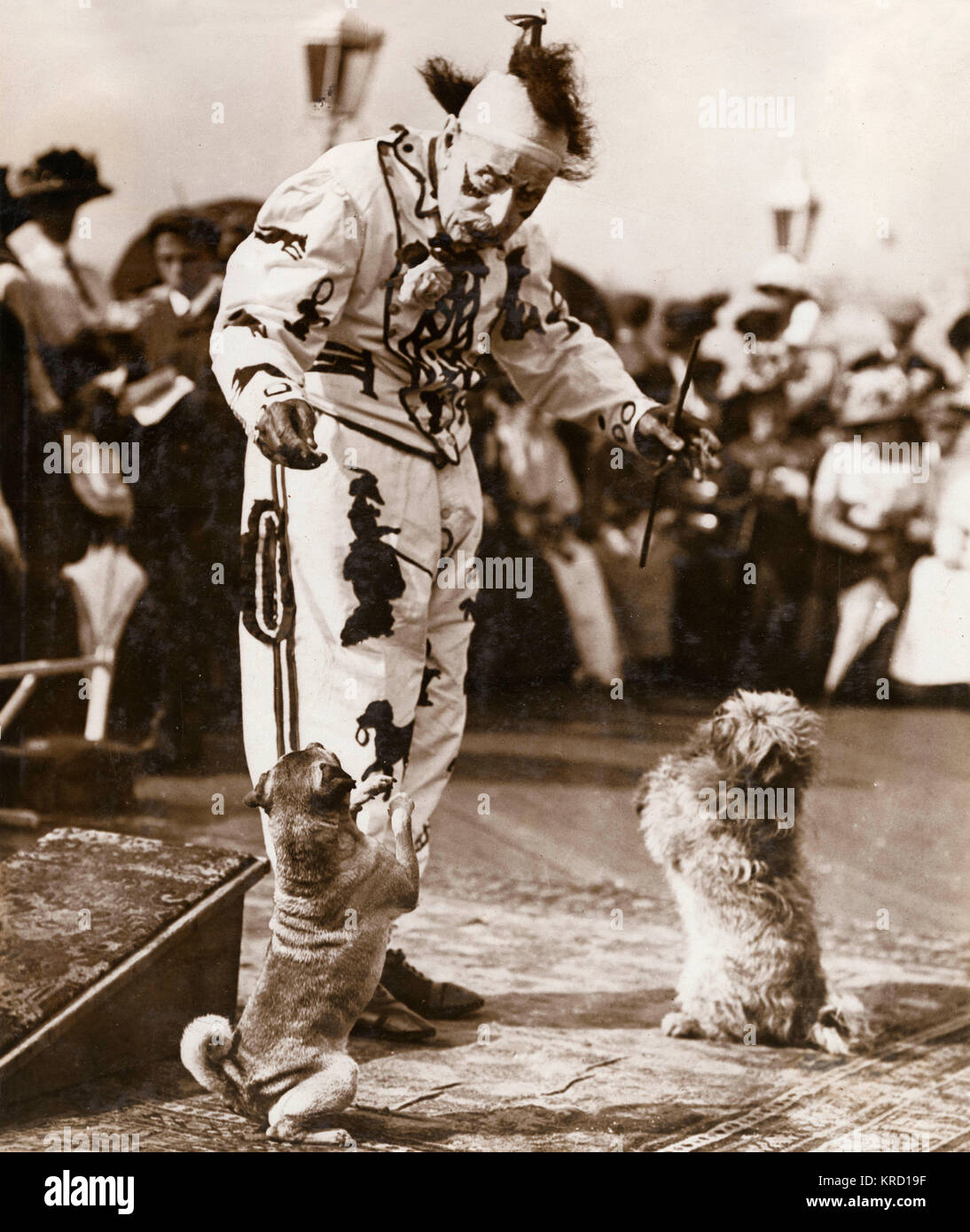 James Doughty di Brighton, al momento di questa fotografia il più antico clown in Inghilterra, in procinto di celebrare il suo compleanno 94a. Visto qui in costume con due della sua esecuzione di cani. Nel 1911 all'età di 93 si è sposato con una donna di 25, Alice Zilpa, e apparentemente la sua moglie precedente era stato 25 anni più giovane di lui. Egli è detto di essere riuscito il famoso clown Giuseppe Grimaldi al Drury Lane nel 1851, prendendo su molte delle sue parrucche, puntelli e canzoni. Morì nel mese di marzo 1913. Data: circa 1912 Foto Stock