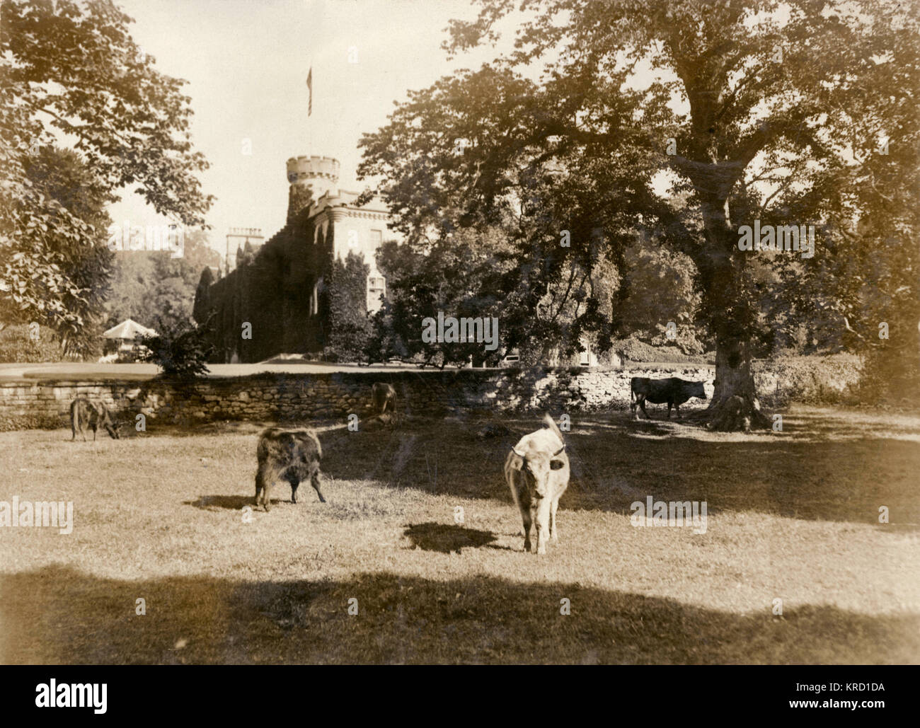 Vista del castello di Tulloch, Scozia Foto Stock