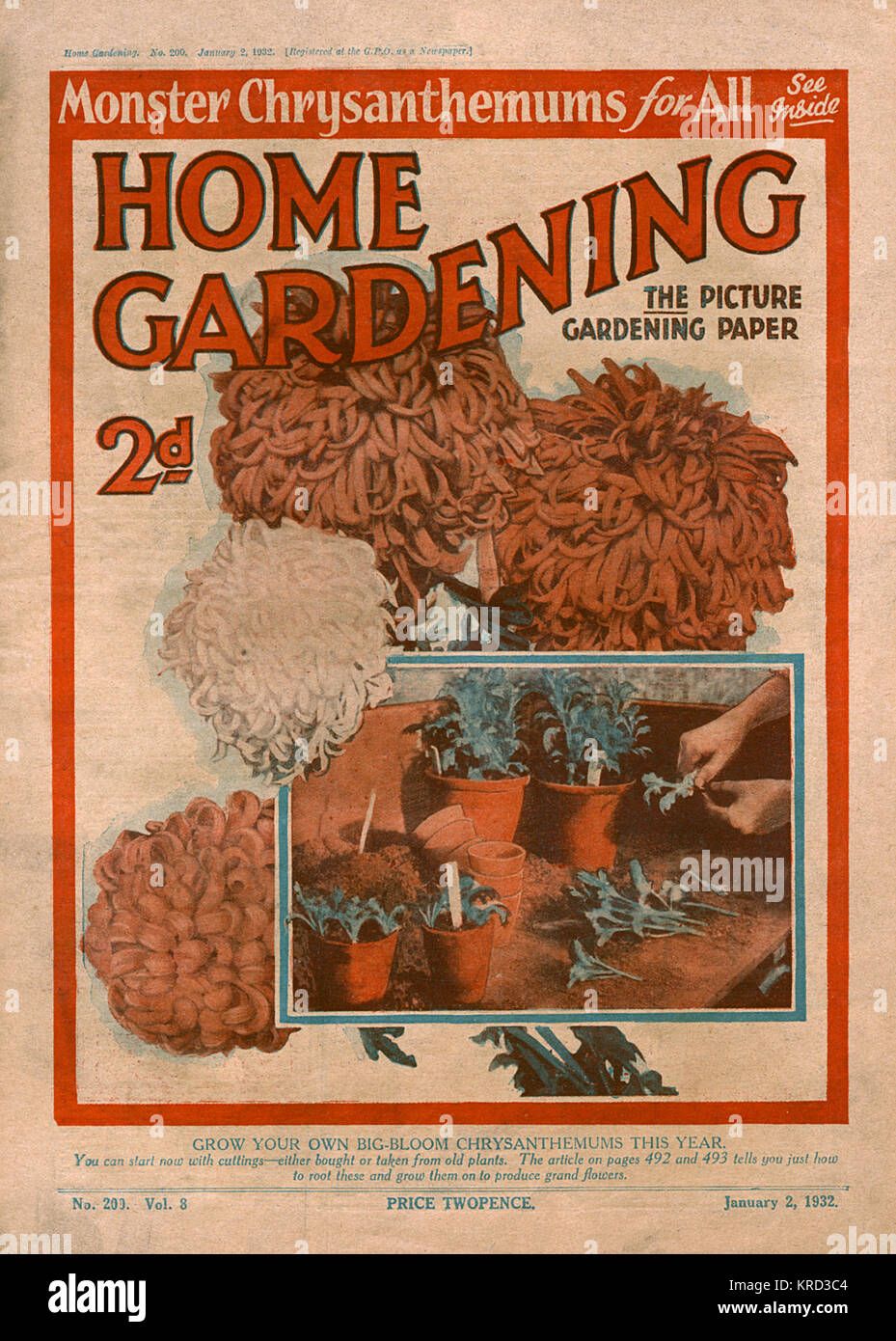 Coperchio anteriore del giardinaggio Home magazine con istruzioni visive per assunzione di crisantemo talee. Data: 1932 Foto Stock