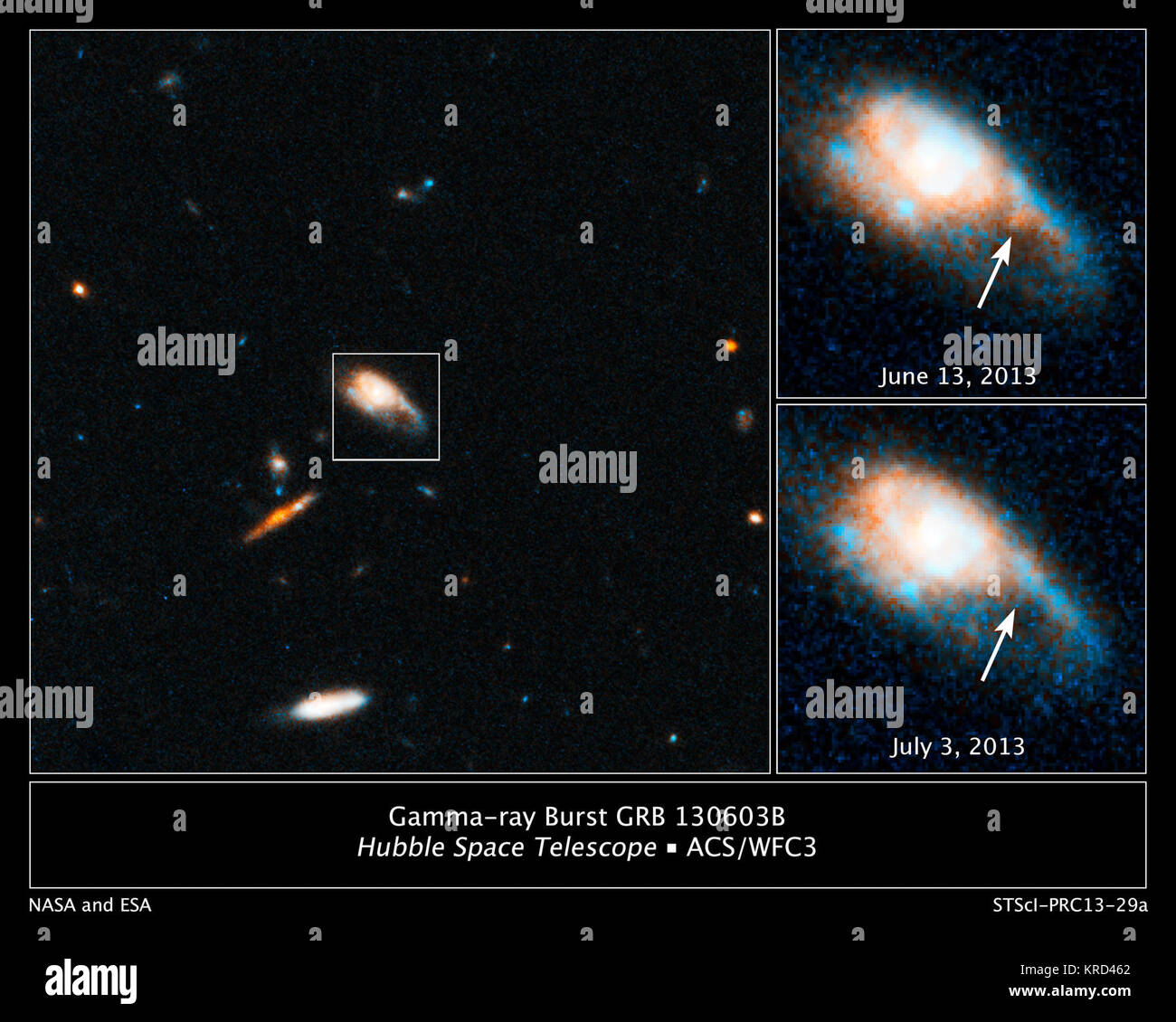 Queste immagini prese dalla NASA/ESA Telescopio Spaziale Hubble rivelano un nuovo tipo di esplosione stellare prodotta dalla fusione di due oggetti compatti. Hubble ha individuato la sfuriata mentre guardando i postumi di una breve durata di gamma-ray burst, un misterioso flash di intensa radiazione ad alta energia che viene visualizzata dalla direzione casuale nello spazio. Di breve durata di blasti durare al massimo un paio di secondi. Essi tuttavia a volte producono afterglows debole nel visibile e vicino infrarosso luce che continuare per diverse ore o giorni e aiutare gli astronomi per individuare la posizione esatta del burst. Nell'immagine a Foto Stock