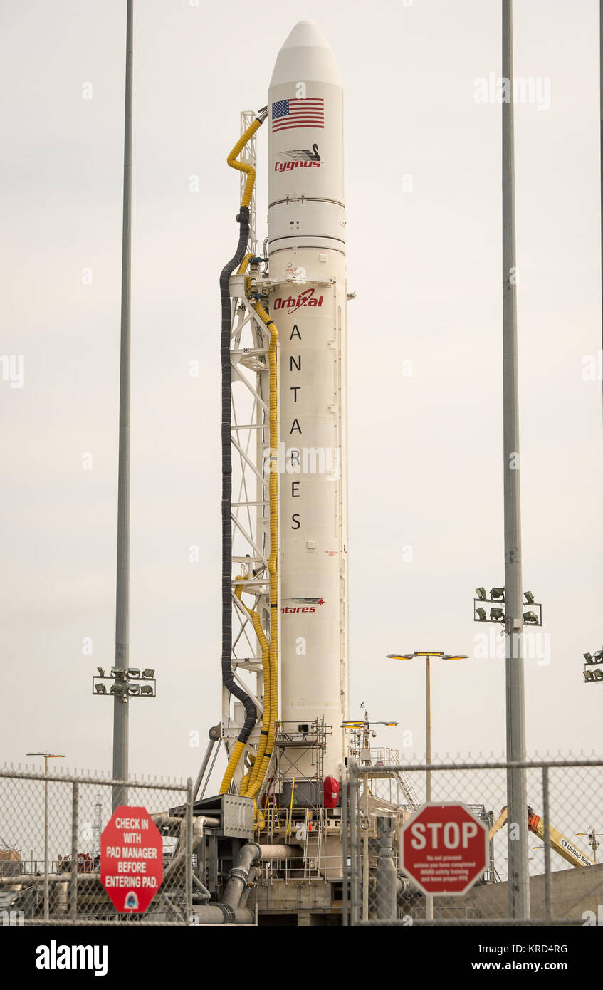 La Orbital Sciences Corporation Antares rocket, con la sua Cygnus carico a bordo del veicolo spaziale, è visibile sulla Mid-Atlantic Spaceport regionale (MARS) PAD-0A presso la NASA Wallops Flight Facility, lunedì, Sett. 16, 2013 in Virginia. NASA spazio commerciale partner, Orbital Sciences Corporation, è il bersagliamento di una sett. 18 di lancio per la sua dimostrazione di rialimentazione cargo missione alla stazione spaziale internazionale. Photo credit: (NASA/Bill Ingalls) Antares Orb-D1 razzo il pad a Wallops (201309160004HQ) Foto Stock