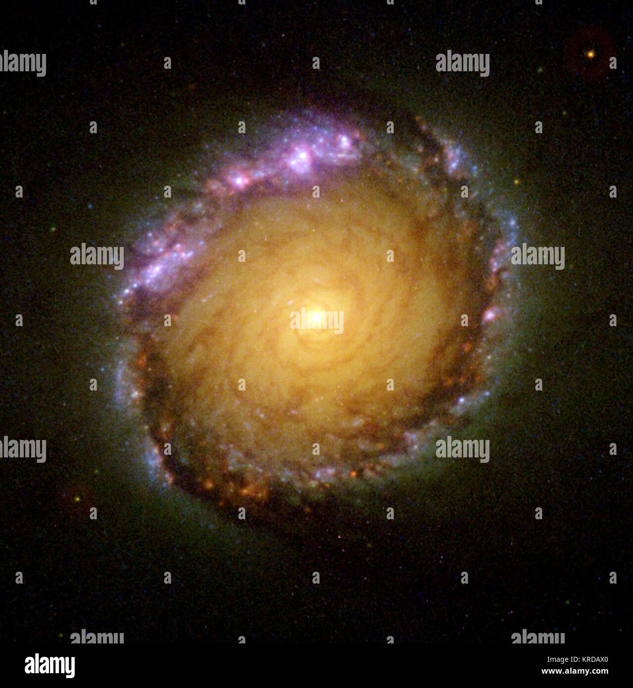 NGC 1512 Foto Stock