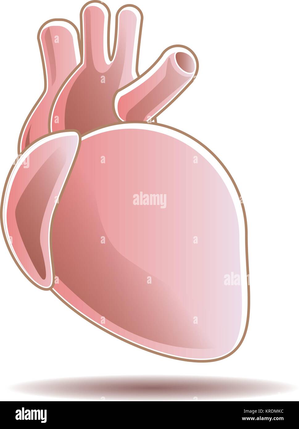 Un'icona a forma di cuore umano di colore rosso chiaro con sottili sfumature bianche per un look pulito ed elegante. Illustrazione Vettoriale