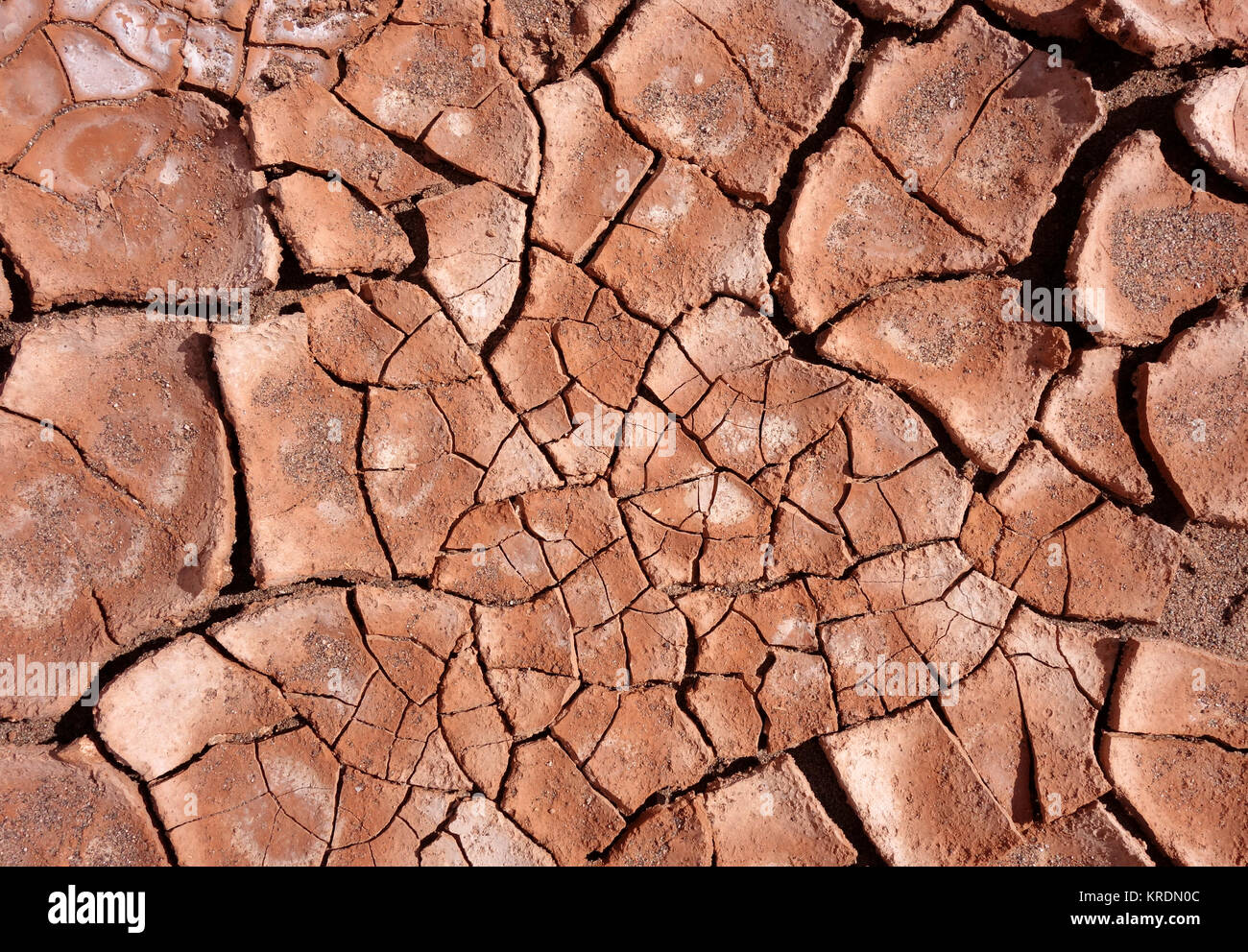 Fango secco texture di sfondo Foto stock - Alamy