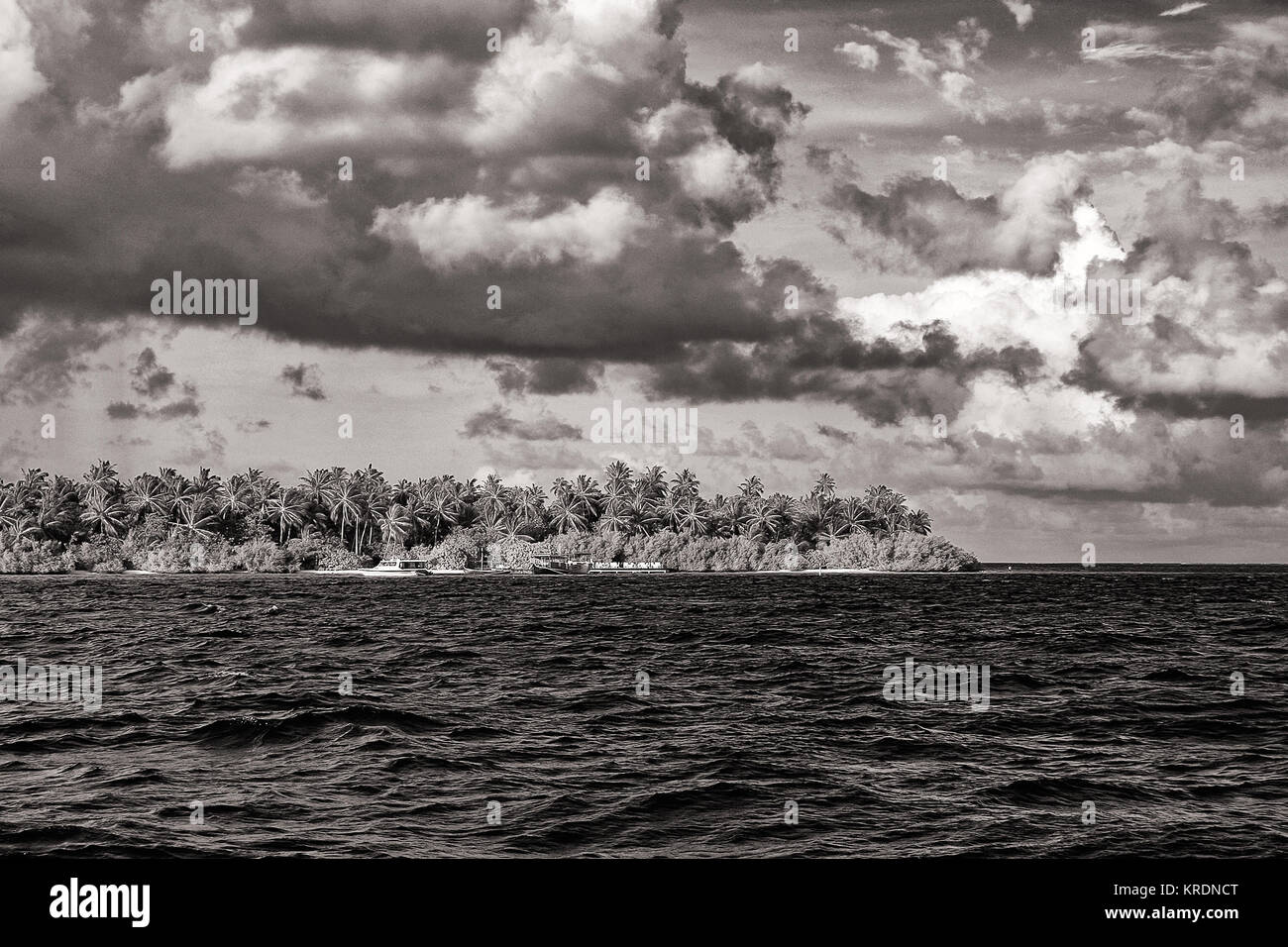 Villaggio Embudu, Malediven, Süd-Male-Atoll, Indischer Ozean Foto Stock