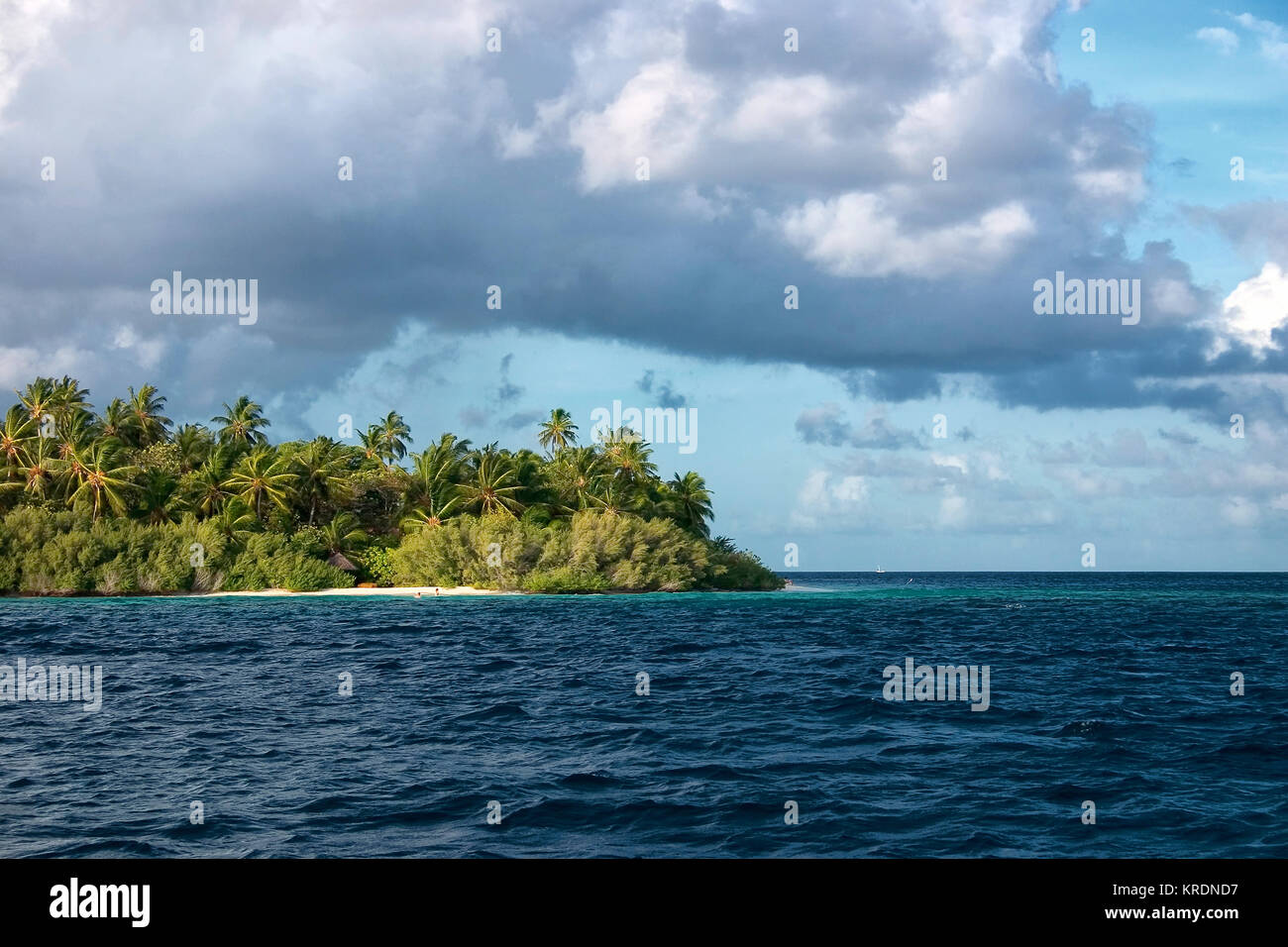Villaggio Embudu, Malediven, Süd-Male-Atoll, Indischer Ozean Foto Stock