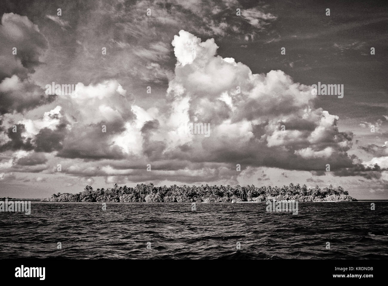 Villaggio Embudu, Malediven, Süd-Male-Atoll, Indischer Ozean Foto Stock