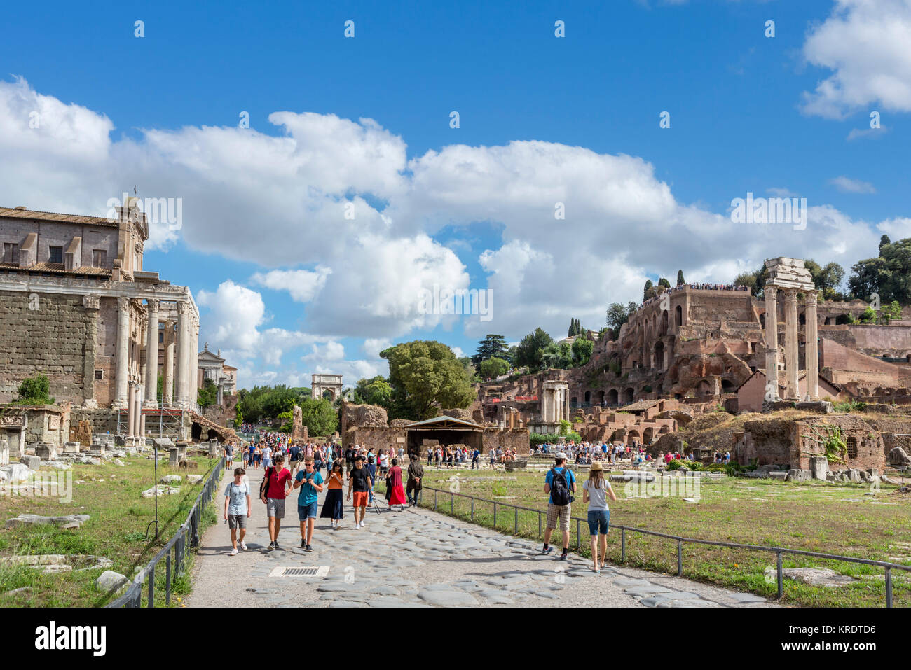 Roma, Forum. Via Sacra con il Tempio di Antonino e Faustina a sinistra e il Colle Palatino a destra, Foro Romano, Roma, Italia Foto Stock