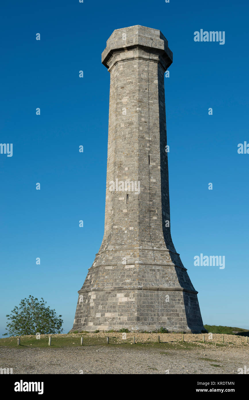 La Hardy Monument fu eretta nel 1844 in memoria del vice ammiraglio sir Thomas Masterman Hardy, Bandiera capitano della HMS Victory alla Battaglia di Trafalgar. Foto Stock