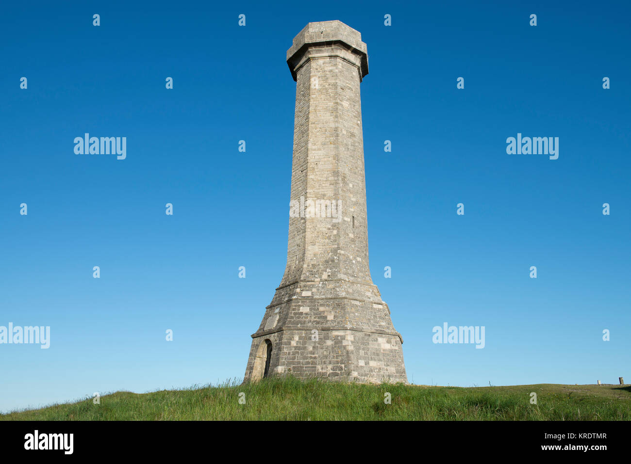La Hardy Monument fu eretta nel 1844 in memoria del vice ammiraglio sir Thomas Masterman Hardy, Bandiera capitano della HMS Victory alla Battaglia di Trafalgar. Foto Stock