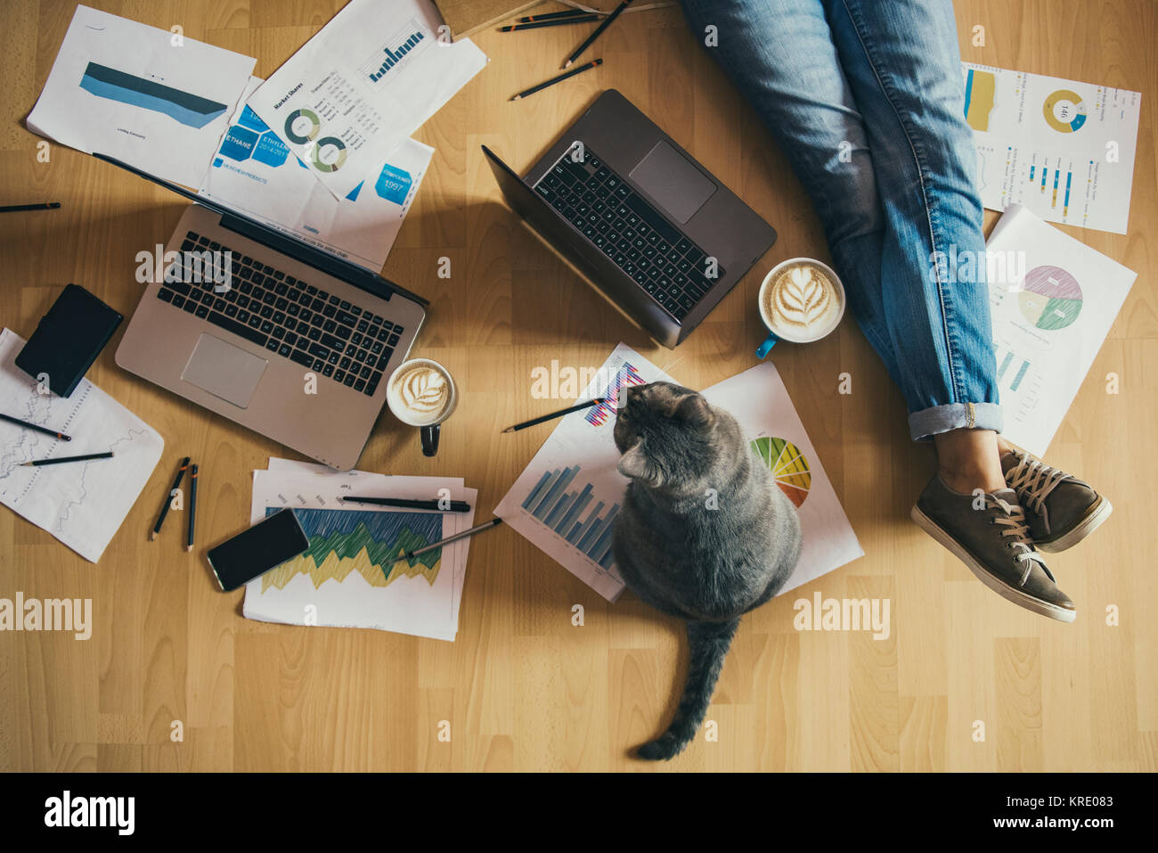 Creative space - ragazza con il suo gatto che lavora da casa. Foto Stock