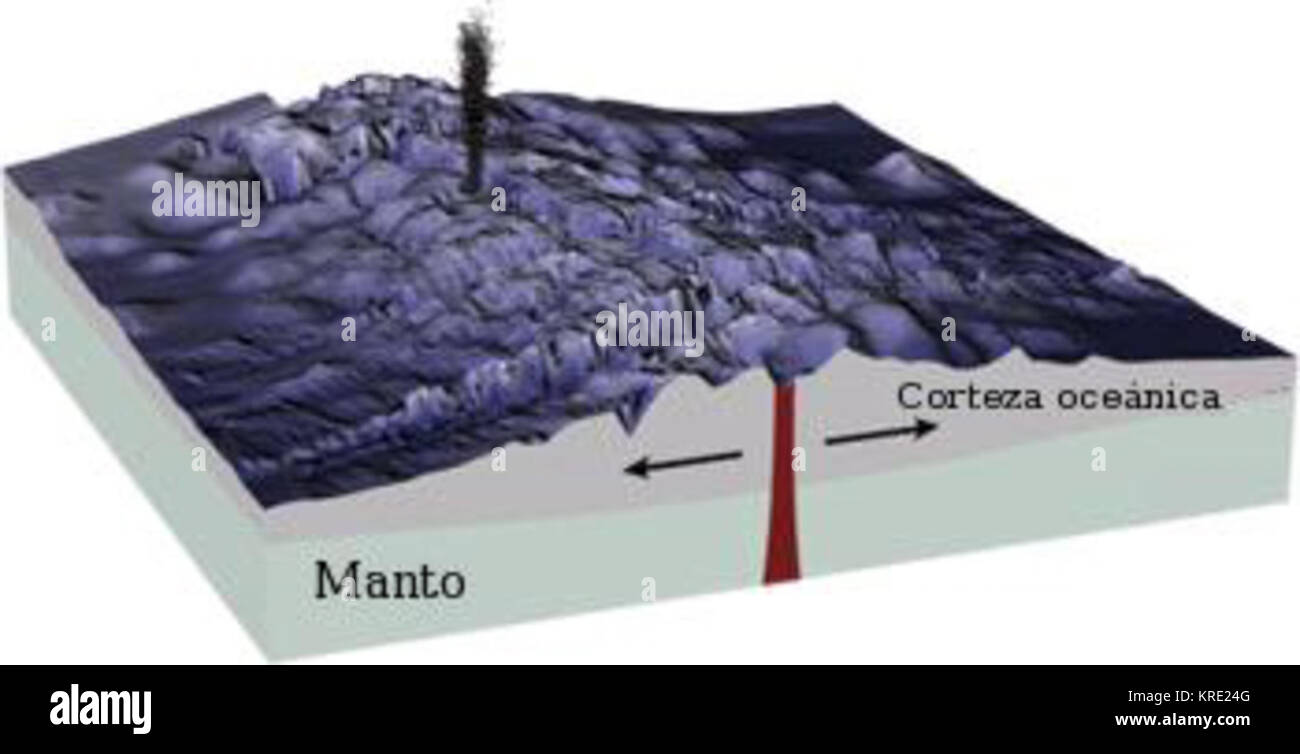 Dorsaloceanica Foto Stock