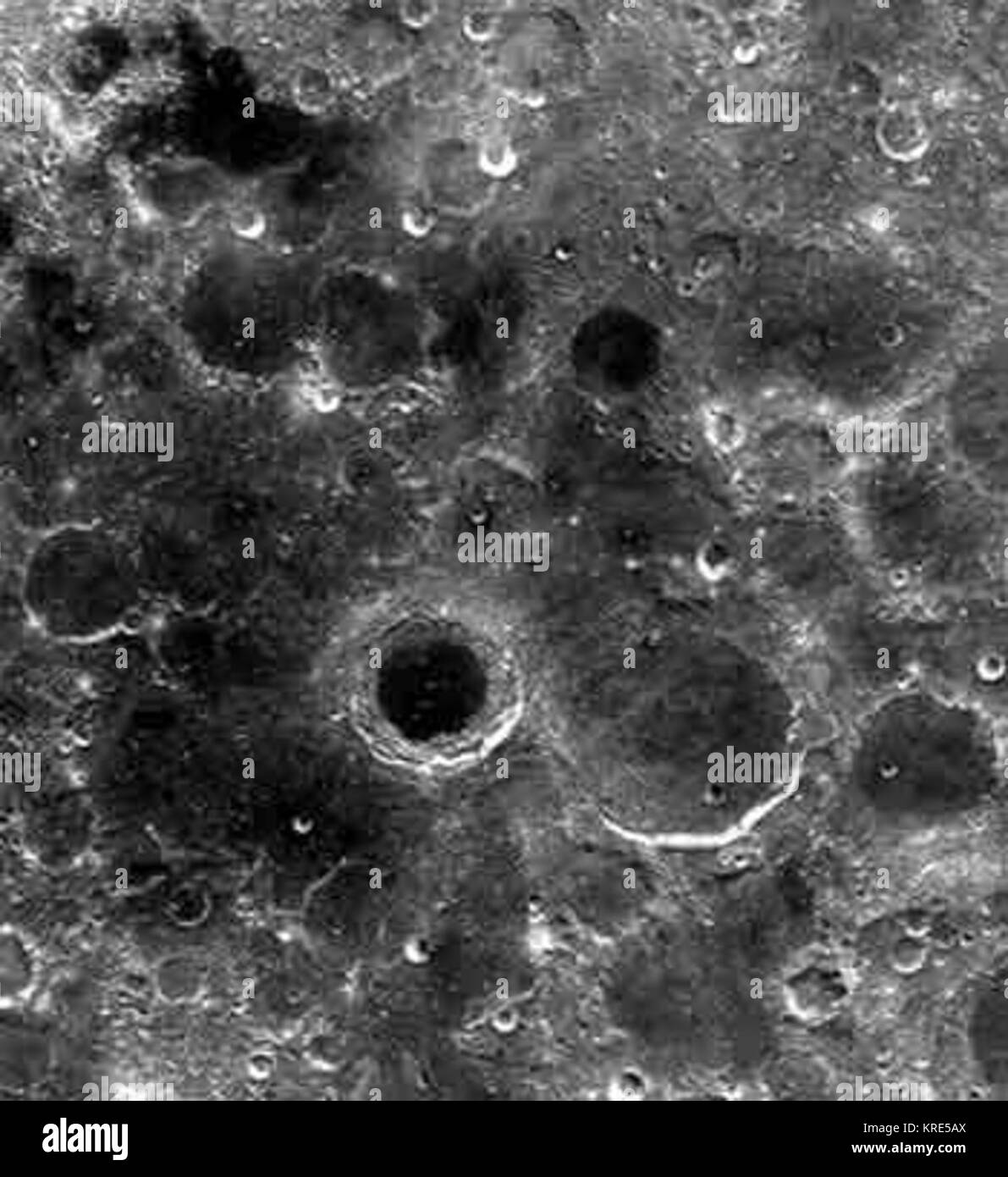 Maustrale Foto Stock