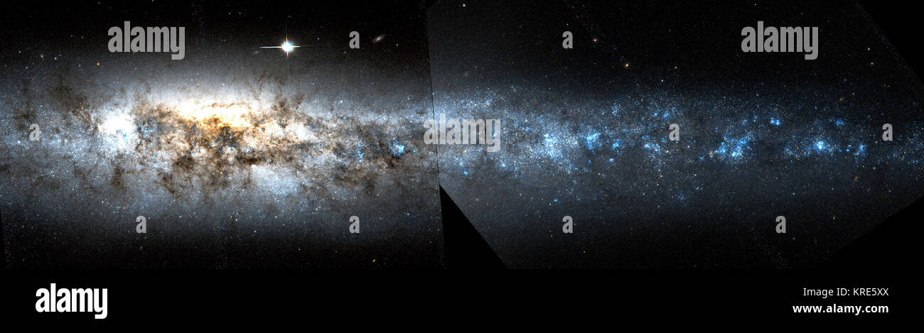 NGC 4631 mosaico di Hubble Foto Stock