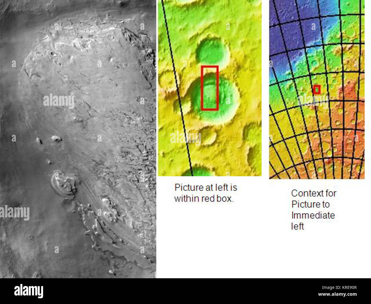 Spallanzani Foto Stock