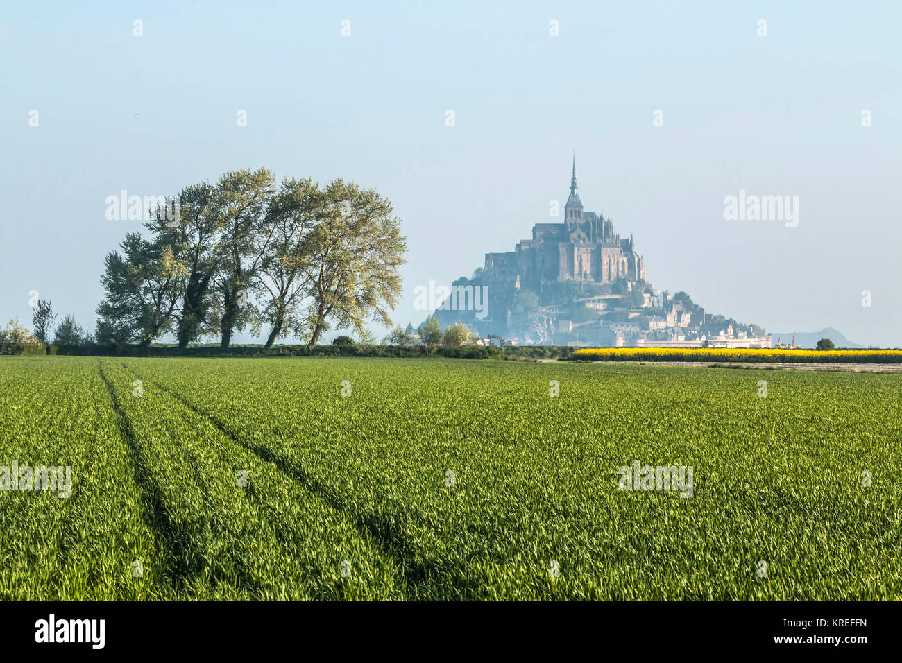Mont Saint Michel (Saint Michael Mount), Normandia, a nord-ovest della Francia: Le Mont Saint Michel in primavera. (Non disponibile per la produzione di cartolina) Foto Stock