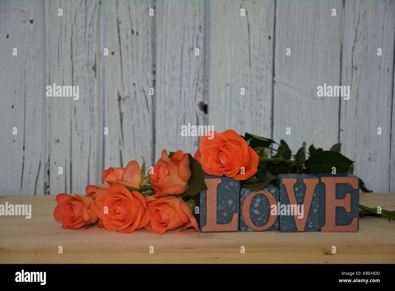 Blocchi con la parola amore e rose arancione nella parte anteriore della parete in legno Foto Stock