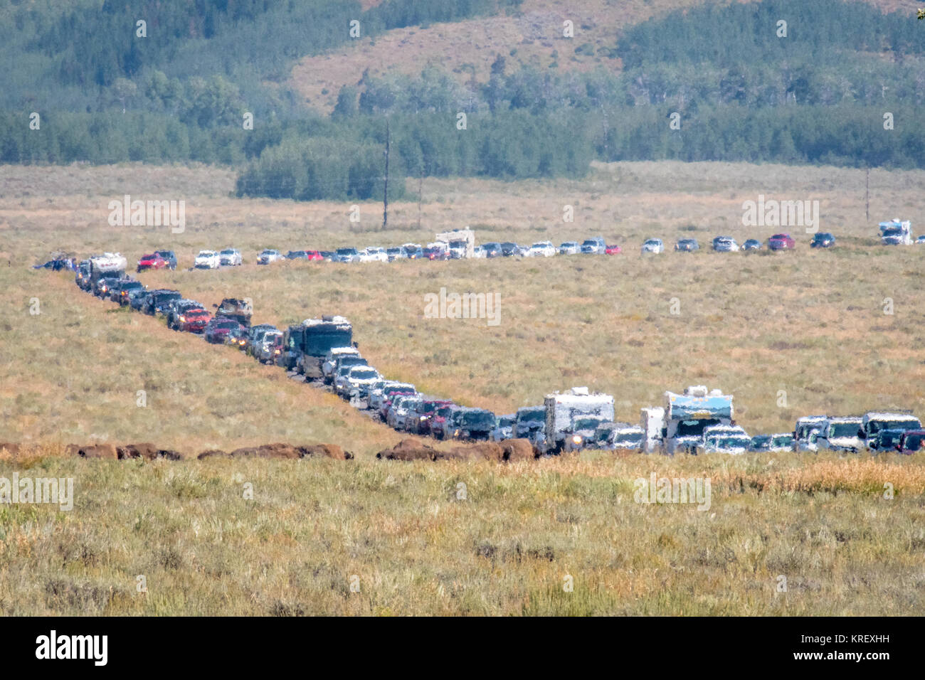 La linea di vetture aspettano di essere entrata in Grand Tetons National Park, Teton County, Wyoming Foto Stock