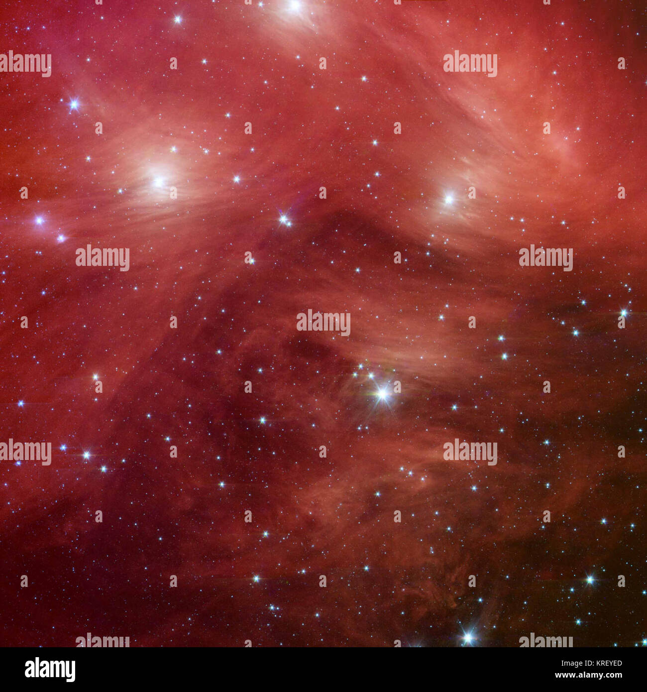 Le Sette sorelle, noto anche come le Pleiadi, sembrano galleggiare su un letto di piume in una nuova immagine infrarossa dalla NASA il telescopio spaziale Spitzer. Nuvole di polvere spazzare attorno alle stelle, swaddling in un cushiony velo. Le Pleiadi, situato a più di 400 anni luce di distanza nella costellazione del Toro, sono oggetto di molte leggende e scritti. La mitologia greca sostiene che il gregge di stelle è stato trasformato in colombe celesti da Zeus a salvarli da una norma Orion. Il 19esimo secolo del poeta Alfred Tennyson Signore li descrisse come "lucenti come uno sciame di lucciole aggrovigliato in una treccia d'argento". Foto Stock Le Sette sorelle, noto anche come le Pleiadi, sembrano galleggiare su un letto di piume in una nuova immagine infrarossa dalla NASA il telescopio spaziale Spitzer. Nuvole di polvere spazzare attorno alle stelle, swaddling in un cushiony velo. Le Pleiadi, situato a più di 400 anni luce di distanza nella costellazione del Toro, sono oggetto di molte leggende e scritti. La mitologia greca sostiene che il gregge di stelle è stato trasformato in colombe celesti da Zeus a salvarli da una norma Orion. Il 19esimo secolo del poeta Alfred Tennyson Signore li descrisse come "lucenti come uno sciame di lucciole aggrovigliato in una treccia d'argento". Foto Stock