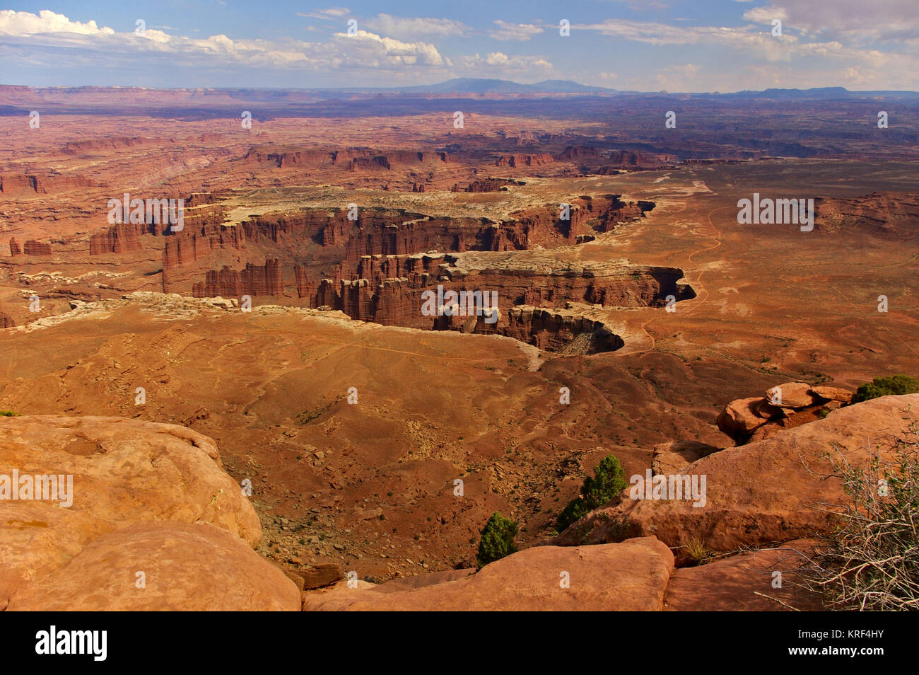 Vista aerea del canyon scoscesi dalla cima di un alto mesa, Island in the Sky, il Parco Nazionale di Canyonlands, Utah, Stati Uniti d'America Foto Stock