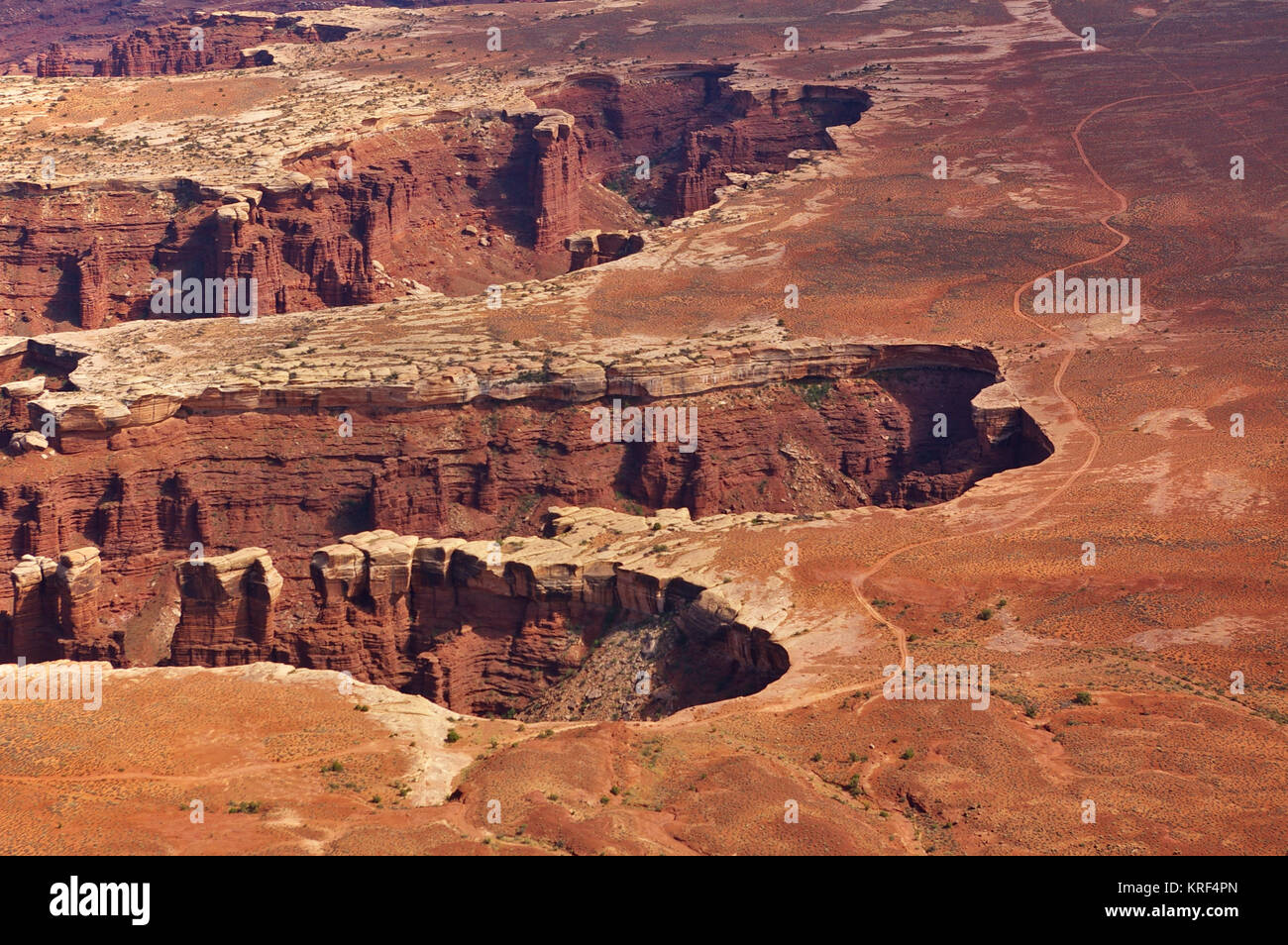 Vista aerea del canyon scoscesi dalla cima di un alto mesa, Island in the Sky, il Parco Nazionale di Canyonlands, Utah, Stati Uniti d'America Foto Stock