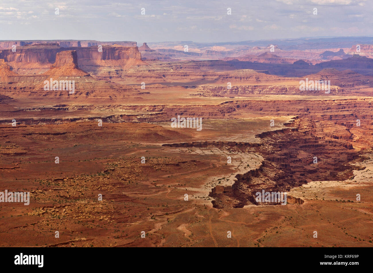 Vista aerea del canyon scoscesi dalla cima di un alto mesa, Island in the Sky, il Parco Nazionale di Canyonlands, Utah, Stati Uniti d'America Foto Stock